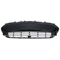 42497950 - Body: Lower Grille for GM Image