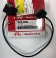 P862000000 - Body: Adapter Cable for iPod for Kia: Sedona, Soul, Sportage Image