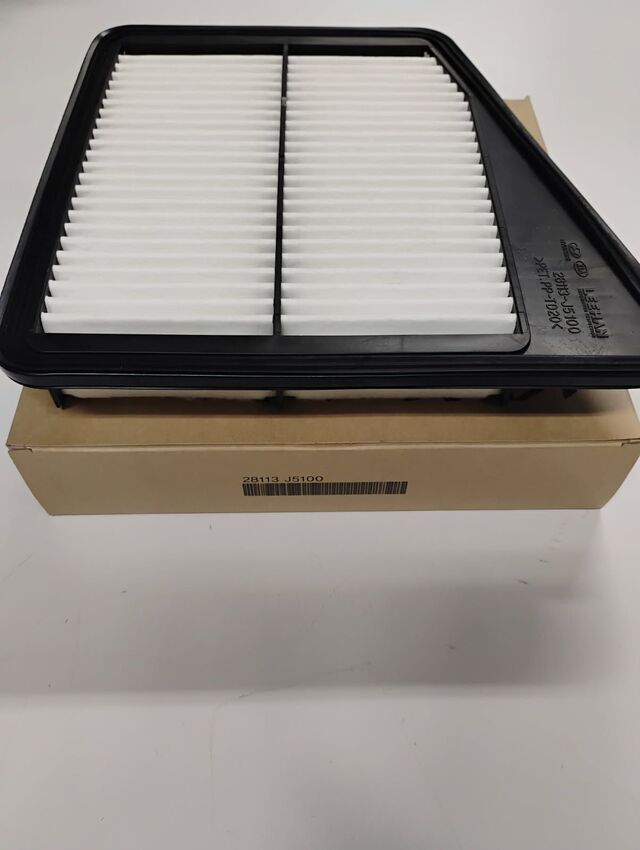 28113J5100 - : Air Filter for Kia: Stinger Image