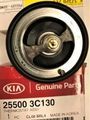 255003C130 - : Thermostat for Kia: Sedona, Sorento Image