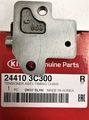 244103C300 - Engine: Tensioner for Kia: Amanti, Borrego, Sedona, Sorento Image