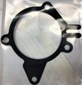 251242X000 - Cooling System: Water Pump Assembly Gasket for Kia: Rio, Sephia Image