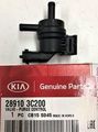 289103C200 - Emission System: Purge Valve for Kia: Cadenza, Forte, Forte Koup, Forte5, Optima, Rio, Sedona, Sorento, Soul, Sportage Image