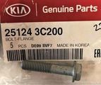 251243C200 - Cooling System: Water Pump Bolt for Kia: K900, Sedona, Sorento Image