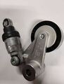 252813C100 - : Tensioner for Kia: Amanti, Borrego, Cadenza, K900, Sedona, Sorento, Telluride Image