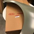 663113R100 - Body: Fender for Kia: Cadenza Image