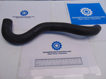 195025BAA00 - : 2016-2021 Honda Civic - Hose A Water (Lower) for Honda: Civic Image