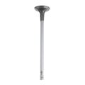 12637241 - : Engine Exhaust Valve for GM Image