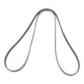 19244944 - Cooling System: Belt for GM Image