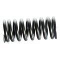 13217AA261 - Engine: Valve Springs for Subaru Image
