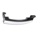 22817269 - Exterior: Door Handles, Front and Rear Sets for GM Image