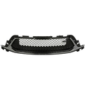 42886563 - : F Grille for GM Image