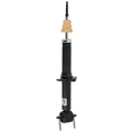 GL3Z18124E - Suspension: Shock Absorber for Ford: F-150 Image