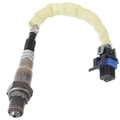 12597449 - Emission System: Oxygen Sensor for GM Image