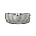 1NR611ZRAA - Exterior Ornamentation: Radiator Grille for Chrysler: 300 Image