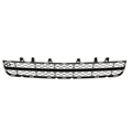 20998811 - : OEM NEW 2011-2013 GM Buick Regal Lower Grille Radiator Lower Anthracite 20998811 for GM Image