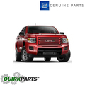 84193024 - : Grille Package - Rust for GM Image