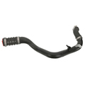 BL3Z6C646B - Cooling System: Upper Hose for Ford: Expedition, F-150 | Lincoln: Navigator Image