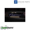 19172905 - Exterior: Door Sill Plates for Cadillac: SRX Image