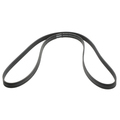 4627043AA - Cooling: Serpentine Belt for Jeep: Wrangler, Wrangler JK Image