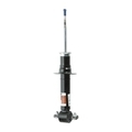 19420492 - : Front Passenger Side Shock Absorber for GM Image