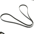 12608660 - : V-Ribbed Serpentine Belt for Buick: Enclave | Chevrolet: Traverse | GMC: Acadia | Saturn: Outlook Image