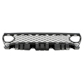 68417502AA - Exterior Ornamentation: OEM NEW 2019-20 Mopar Dodge Charger SRT Pack Daytona Radiator Grille 68417502AA for Dodge: Charger Image