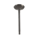 132013Z00A - Engine: Intake Valve for Nissan: Altima, Frontier, Sentra Image