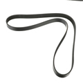 12629347 - Cooling System: Serpentine Belt for GM Image