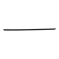 55369293AG - : Front Door Belt Outer Weatherstrip, Left for Mopar Image