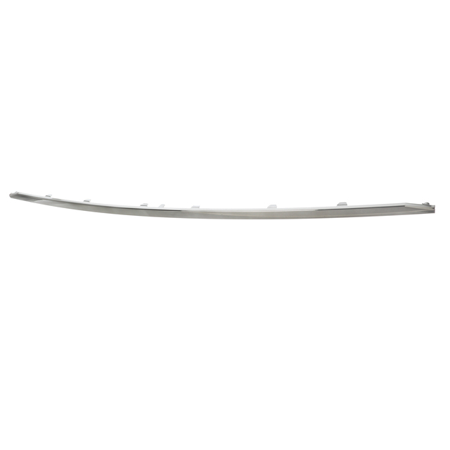 Chrome Strip 86699-AA200 | QuirkParts