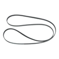 AL3Z8620B - Belts &amp; Cooling: Serpentine Belt for Ford Image