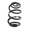 42398115 - : Rear Coil Spring for GM Image