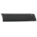 4L1Z7825556AAA - Body: Body Side Molding for Ford: Expedition Image