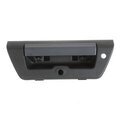 FL3Z9943400DAPTM - Body: Handle for Ford Image