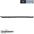F4TZ3525597A - Body: Belt Weather-strip for Ford: F-250, F-250 HD, F-350 Image