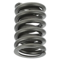 E4TZ6513C - Engine: Valve Springs for Ford Image