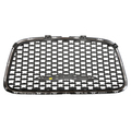 5SW18DX8AE - Exterior Ornamentation: Radiator Grille for Chrysler: 300 Image