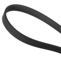 55569810 - : Accessory Drive Belt for Buick: Cascada Image