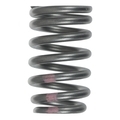 12706568 - Engine: Valve Springs for GM Image