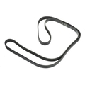 12732419 - : Serpentine Belt for GM Image