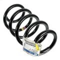 SK4Z5310A - Suspension: Coil Spring for Ford Image