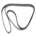 12649097 - : V-Ribbed Serpentine Belt for GM Image
