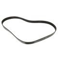 117206TA0A - Cooling System: Serpentine Belt for Nissan: Altima, Frontier, Maxima, Murano, Pathfinder, Quest Image