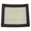 AF54MJK20PNW - Maintenance &amp; Lubrication: Value Advantageâ„¢ AIR FILTER for Nissan Image