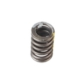 94666580 - Engine: Valve Springs for GM Image