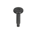 68134817AA - Doors, Door Mirrors and Related Parts: Screw for Ram: ProMaster 1500, ProMaster 2500, ProMaster 3500, ProMaster EV Image