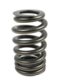68277306AA - : Valve Spring for Mopar Image