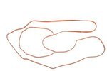 12665158 - : Supercharger Housing Gasket for GM Image