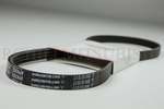 MN187017 - : Power Steering Belt for Mitsubishi: Diamante, Eclipse, Galant Image